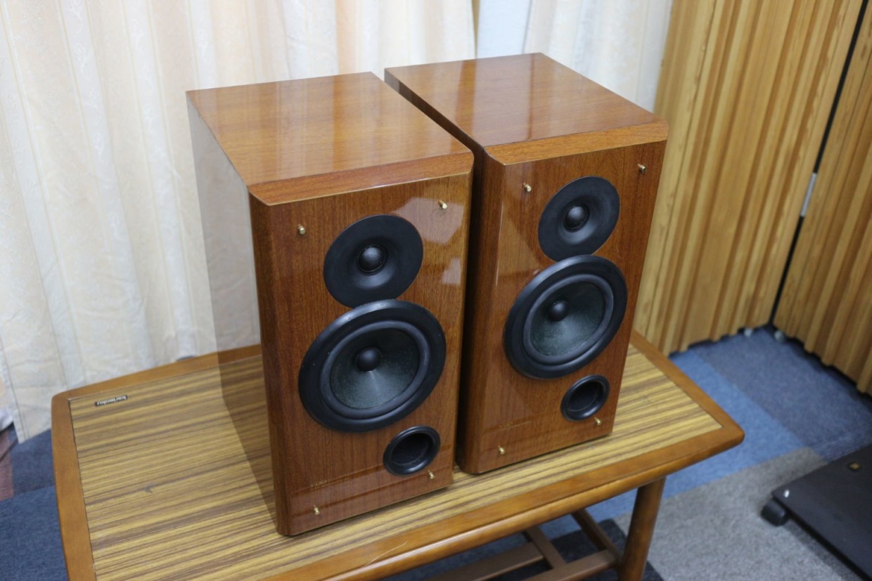 Pioneer S-UK5